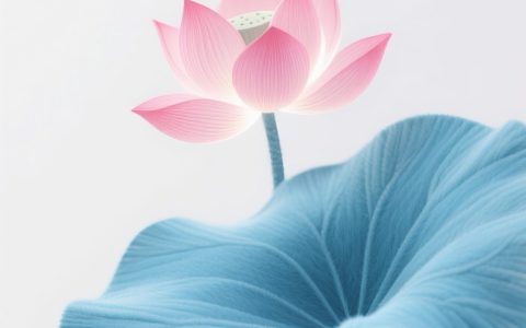 6月17日更新：调色后荷叶荷花浅色水墨风素材16款