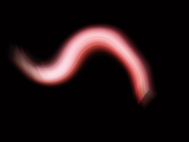 8月2日：新更新甩尾素材二10款-FUN摄影资源站